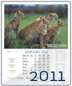 Calender 2011