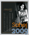 Calender 2009
